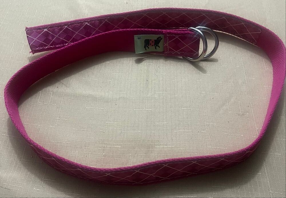 Belted cow Co d-Ring belt/leash